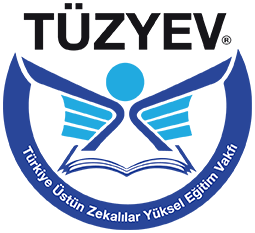 Tüzyev Mozaik E?itim Kurumlar? logosu